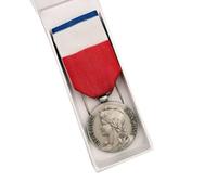 TROPHEES DES VAINQUEURS Médaille d'Ancienneté du Travail Argent 20 Ans | Médaille d'honneur du Travail | Distinction Honorifique pour 20 Années de Service - MAT20