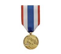 TROPHEES DES VAINQUEURS Médaille Protection Militaire du Territoire | Décoration Honorifique | Distinction Commémorative et Récompense de Prestige - PDT