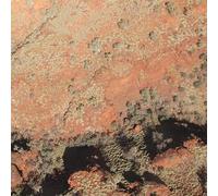 Tropic of Capricorn/Orange Vinyl