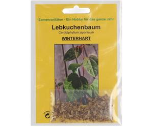 TROPICA Arbre au Caramel - 100 Graines