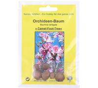 TROPICA Arbre aux Orchidées - 8 Graines
