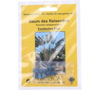 TROPICA Arbre du Voyageur - 1 sachet