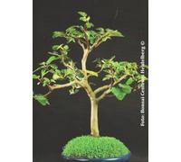 TROPICA Bonsaï « Figuier Commun » - 50 Graines