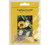 TROPICA Cotonnier - 12 Graines