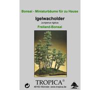 TROPICA Genévrier Bonsaï en Pleine Terre - 15 Graines