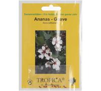 TROPICA Goyave Ananas - 2 g