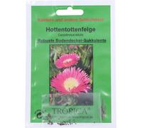 TROPICA Griffe de Sorcières - 1 sachet