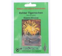 TROPICA Gueule de Tigre - 1 sachet