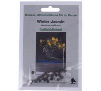 TROPICA Jasmin d'hiver - Bonsaï en Pleine Terre - 25 Graines