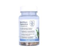Tropica Nutrition Capsules 50 pcs. Plante Engrais à libération Lente