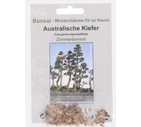 TROPICA Pin Australien - 100 Graines