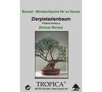 TROPICA Pistachier Décoratif - Bonsaï d'Intérieur - 25 Graines