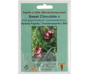 TROPICA Poivron Bio "Sweet Chocolate" - 10 Graines