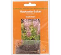 TROPICA Sauge Sclarée - 200 Graines