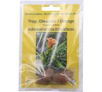 TROPICA Thévétia du Pérou, Orange - 8 Graines