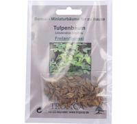 TROPICA Tulipier de Virginie - Bonsaï d'Extérieur - 1 sachet