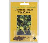 TROPICA Ylang-Ylang - Arbre Chanel n°5 - 1 sachet