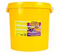 Tropical Cichlid Color Flakes 21L / 4kg - Nourriture pour cichlides, Riche en proteines et rehaussant la Couleur, Flocons