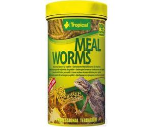 Tropical Meal Worms 100ml x2