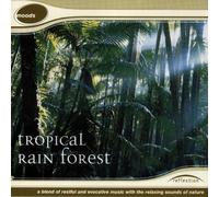 Reflection - Tropical Rain Forest