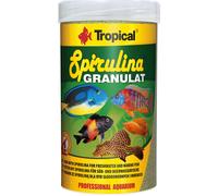 Tropical Tadeusz Ogrodnik Cichlid Red & Green Stick m - 110 g