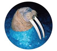 Tross - Walrus EP [Import]