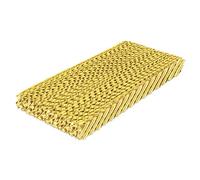 TROTEC PAE 49/50 Filtre à évaporation de Rechange pour Refroidisseur d'air