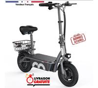 Trottinette Électrique 500W, 12 Poucet pliable 10 pouces 30 km/h avec Panier