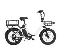 Trottinette électrique pliable DYU C9 750 W,Autonomie de 84 km, freins hydrauliques étanches IP54
