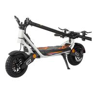 Trottinette Électrique Pliable - Kukirin A1 - Moteur 800W - Batterie 48V 13Ah - Pneu à Vide 10"" - Autonomie 45km - Freins à Disque