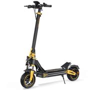 Trottinette Électrique TWOFISH V2 MAX - Moteur 800W - Batterie 48V 20Ah - Pneus 10 Pouces - Vitesse Max 25 km/h - Noir&Jaune