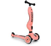 Scoot & Ride Porteur évolutif Highwaykick 1 - Trottinette 2 en 1 Enfant Pêche