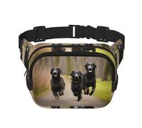 Trotting Sac banane à revêtement plat avec fermeture éclair et sangle réglable pour jogging, cyclisme, Noir , Taille unique