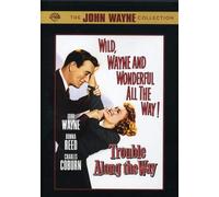 Trouble Along The Way