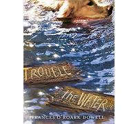 Trouble The Water