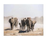 Troupeau d’éléphants s’approchant d’Un Point d’Eau, Parc National d’Etosha, Namibie, Afrique，Puzzle 1000 Pièces Créatif Jouets Éducatifs Adultes pour Enfants Jeu De Puzzle Adulto（75x50cm）-V70