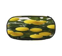 Trousse à crayons à double fermeture éclair avec poche en maille et 4 boucles pour stylos, grande trousse de maquillage pour étudiants, artistes, voyages, trousse ronde en tissu Oxford durable