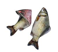 Trousse à crayons en forme de poisson réaliste 3D Crucian Carpe 29 cm Pochette de papeterie en forme de poisson réaliste pour fournitures scolaires et de bureau, Argenté., Motif requin