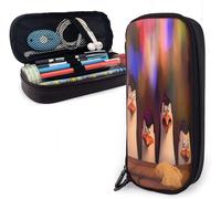 Trousse À Crayons Penguins Of Madagascar - Grande Capacité - Compartiments Pour Crayons - Organiseur De Bureau - Pour Fournitures Scolaires Et De Bureau