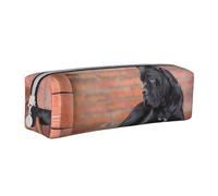 Trousse à Crayons Pochette à Crayons cylindrique portative avec Pochette à cosmétiques en Cuir à Fermeture éclair,Cane Corso, Gros Chiens Noirs, Animaux de Compagnie