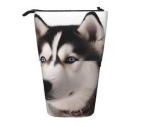 Trousse à crayons rétractable avec motif chien husky et pochette cosmétique, trousse à papeterie à fermeture éclair pour l'école, le bureau, les voyages, Noir , Taille unique, Cartable