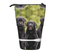 Trousse à crayons rétractable verticale avec motif labrador retriever, facile à utiliser, taille réglable selon les besoins, Noir , Taille unique, Cartable