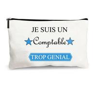 trousse beige je suis un comptable trop génial idée cadeau rangement