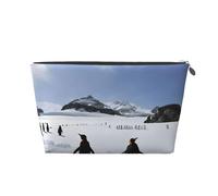 Trousse de maquillage avec imprimé pingouins sur l'iceberg, trousse de maquillage pour sac à main, trousse de beauté étanche pour femmes et filles, Argenté., Taille unique, Trousse de beauté
