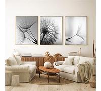 TROYSINC Lot de 3 posters muraux design - Motif pissenlit - Sans cadre - Impression sur toile - Noir et blanc - Motif pissenlit - Pour décoration du salon - 30 x 40 cm