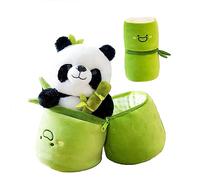 TROYSINC Peluche panda en bambou de 25 cm - 2 en 1 - Avec sac en bambou - Cadeau pour enfants