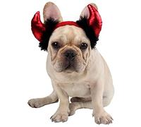 Trrymbbe Halloween Pet Costume Dog Devil Horn Bandband Cat Dress Up Accessoires pour Chat et Petit Chien, réglable, rouge1