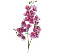 TRRYUIP Orchidees Artificielles Une orchidée Papillon en Latex, 21 têtes, Vie comme Un Mini Phalaenopsis Artificiel(Deep Pink)