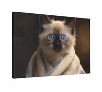 TRSGKSQP Impression sur toile de peinture à l'huile motif chat sur couverture - 45 x 30 cm - encadrée et prête à être accrochée - Décoration murale d'intérieur pour salle de bain, salon, bureau