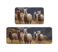 TRSGKSQP Llamas in the andes Lot de 2 tapis de cuisine pour sol, tapis de cuisine, antidérapant, rembourré, absorbant, lavable, pour évier à linge, 43 x 75 cm + 43 x 120 cm